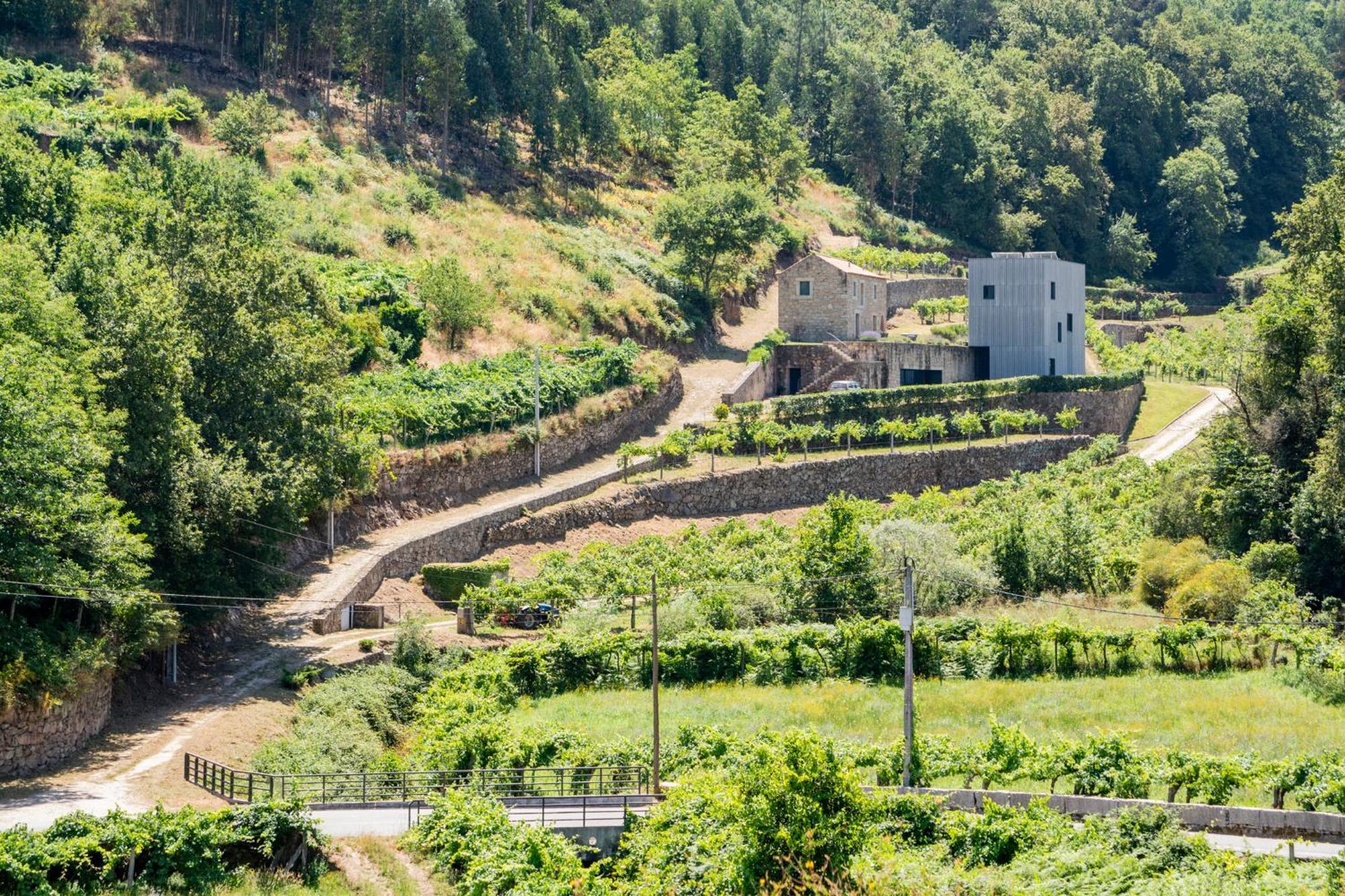 Melgaco Alvarinho Houses Kültér fotó